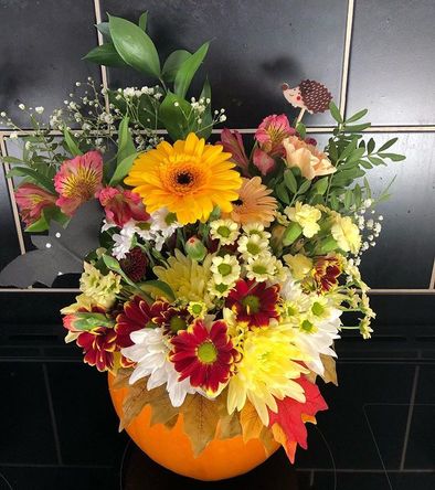 Pumpkin Perfection!